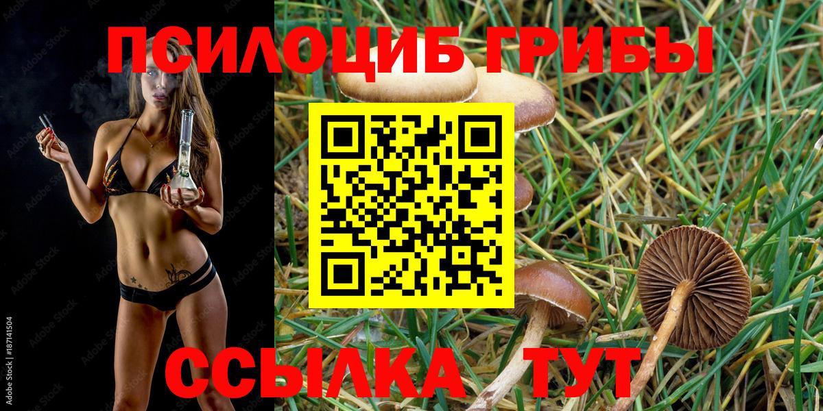 Псилоцибиновые грибы прущие грибы  Псилоцибиновые грибы MAGIC MUSHROOMS  Вход с VPN  Куйбышев 