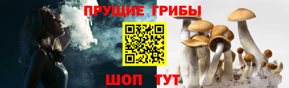 Галлюциногенные грибы мицелий Куйбышев